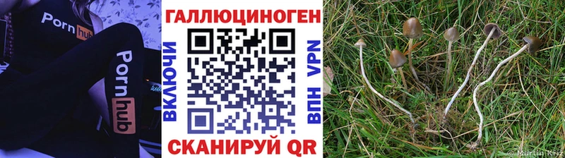 Галлюциногенные грибы мухоморы  купить закладку  Кяхта 